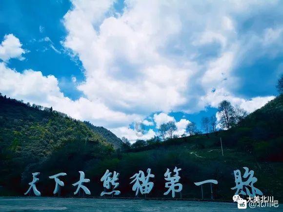 逃离变色龙森林